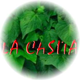 La Casita